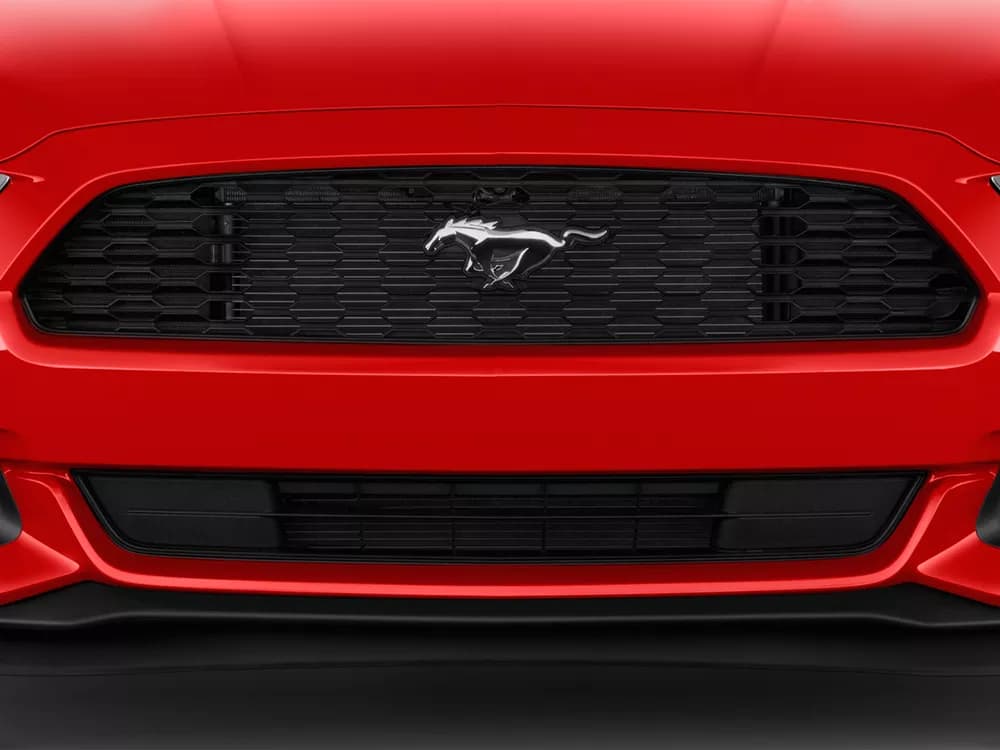 Mustang