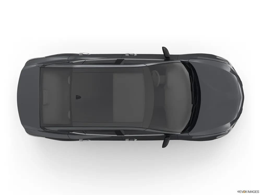 Maxima