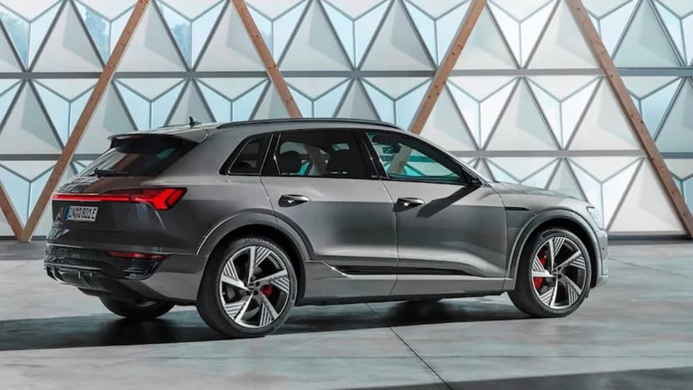 Advanced 55 quattro