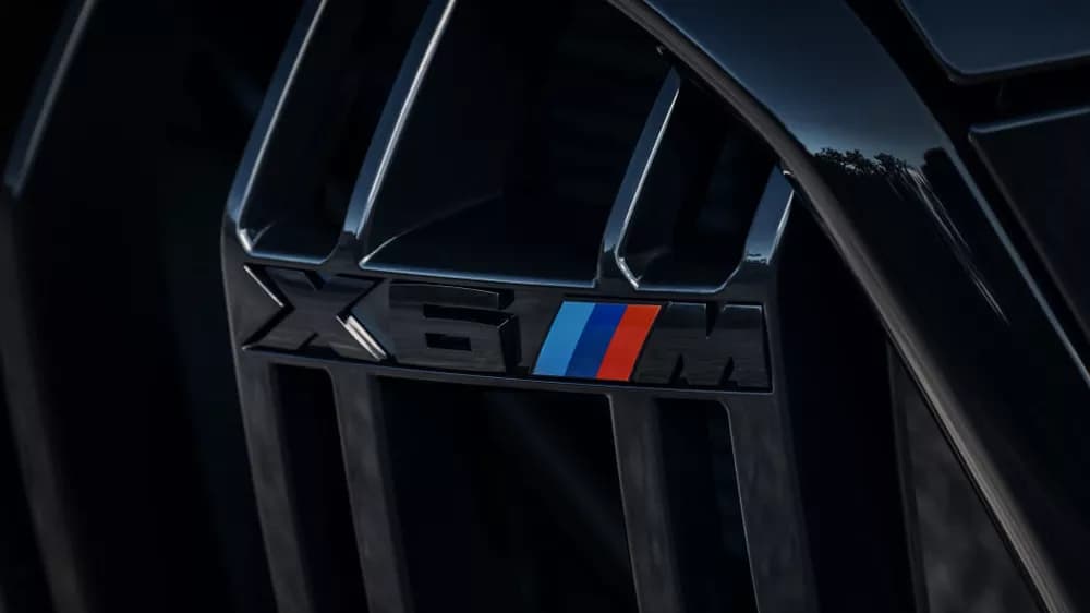 X6 M