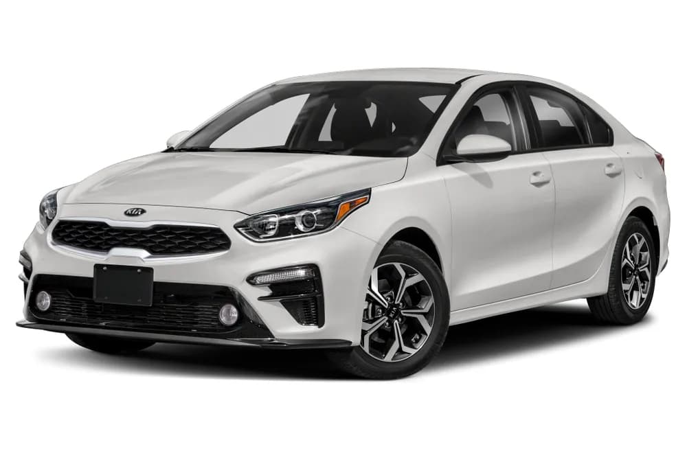 Cerato
