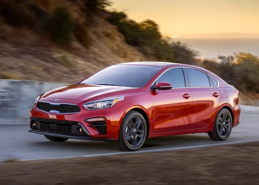 Cerato