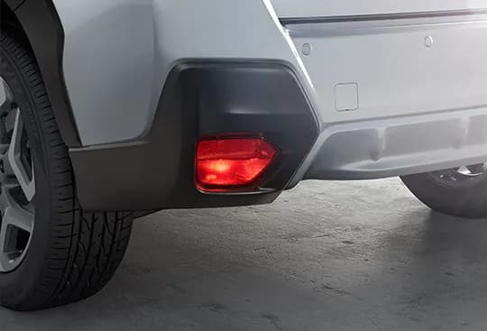 XV