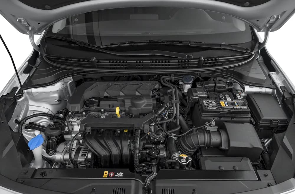 ريو هاتشباك