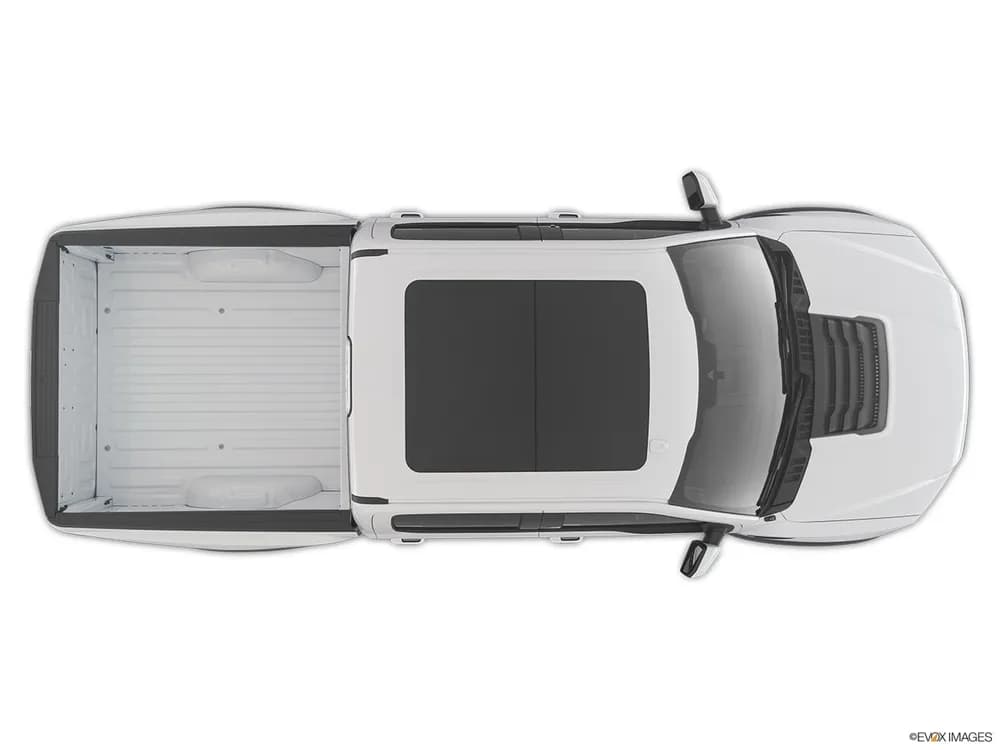 Ford F-150 2019 6.2L Raptor
