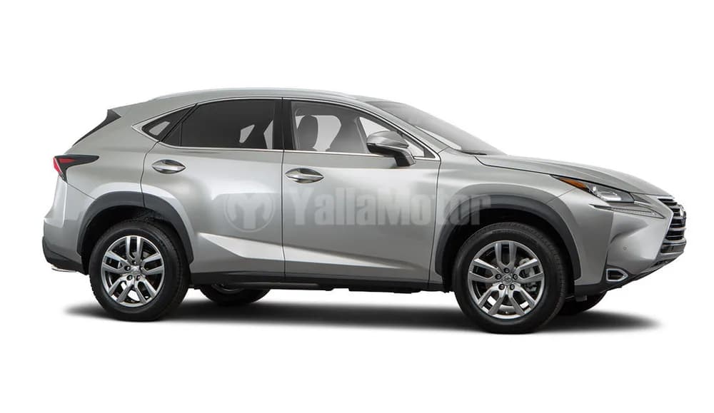 Lexus NX 2019 300 Platinum
