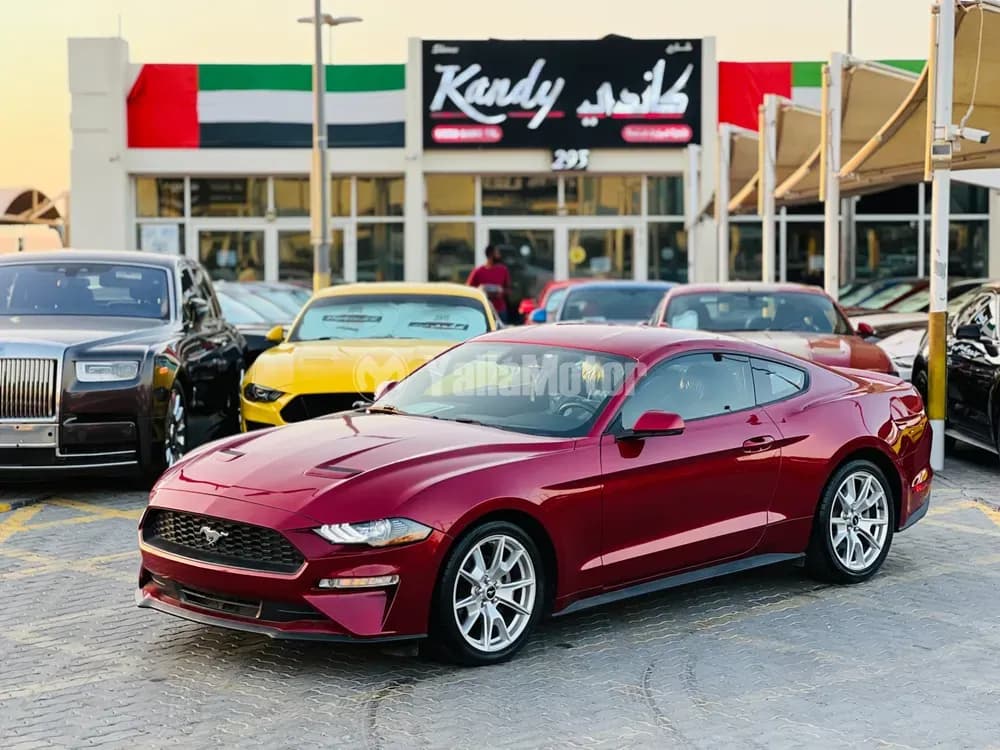Used Ford Mustang 2.3L EcoBoost Fastback Premium 2019