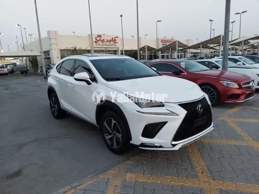 Used Lexus NX 300 F Sport 2020