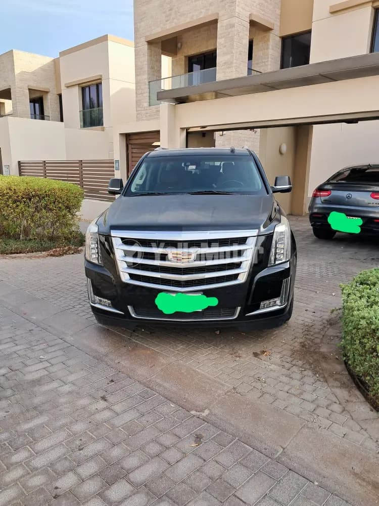 Used Cadillac Escalade 6.2L Base 2016