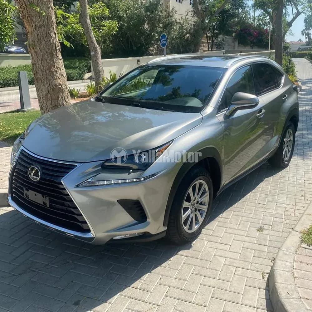 Used Lexus NX 300 Excellence 2020