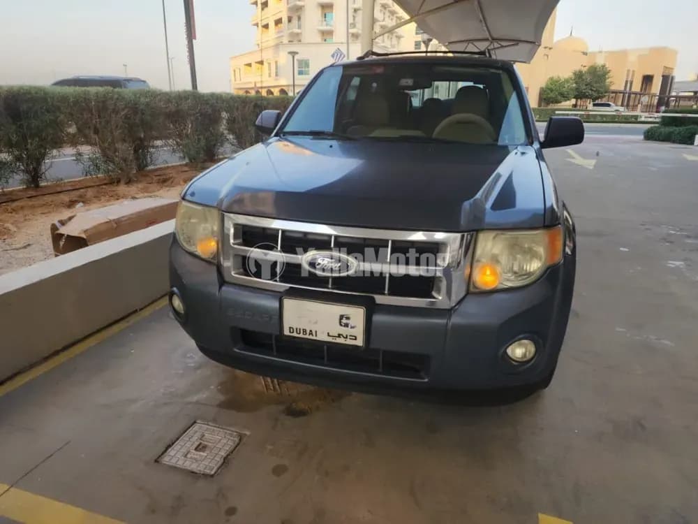 Used Ford Escape 2012