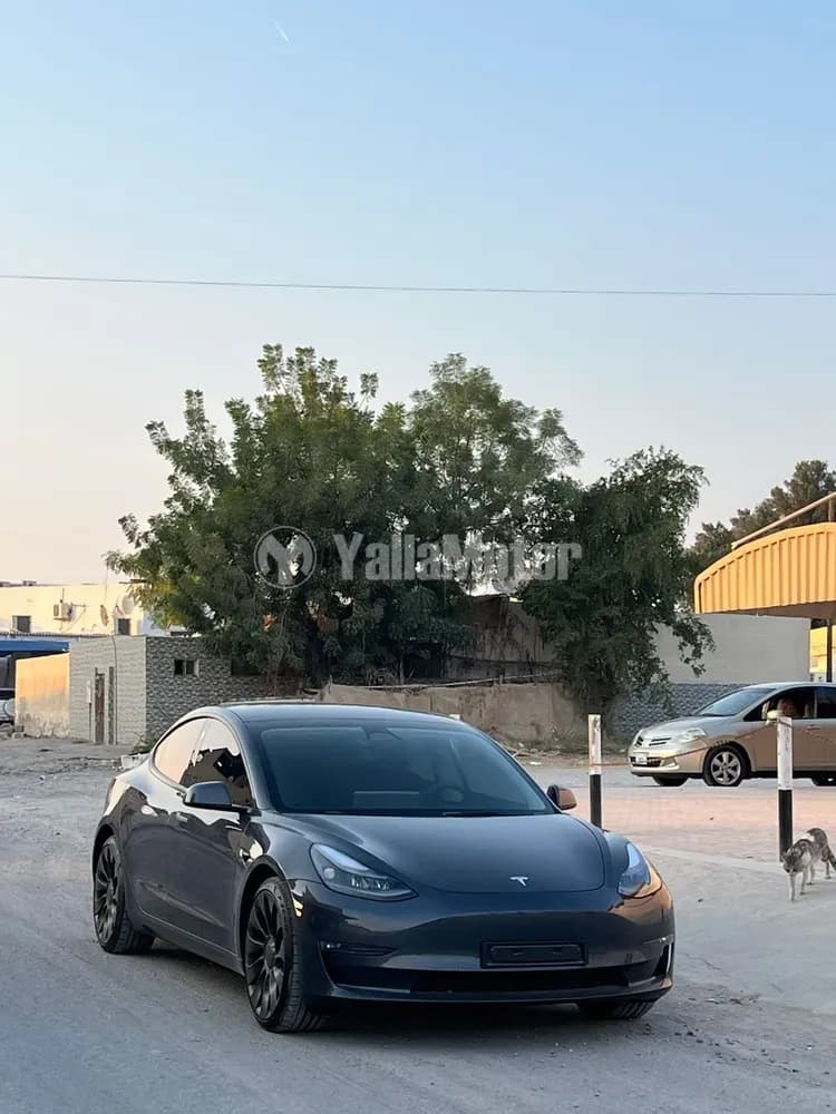 Used Tesla Model 3 Performance (AWD) 2022