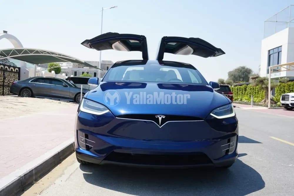 Used Tesla Model X 100D 2018