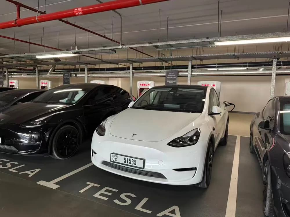 Used Tesla Model Y Long Range (AWD) 2025