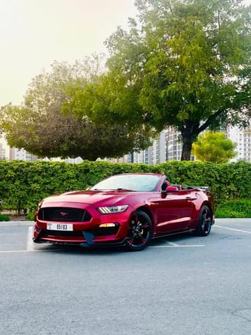 Used Ford Mustang 2016 Used Ford Mustang 2016 for sale
