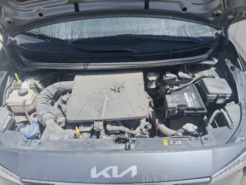 Used Kia Picanto 2024 Used Kia Picanto 2024 used_cars.forSale