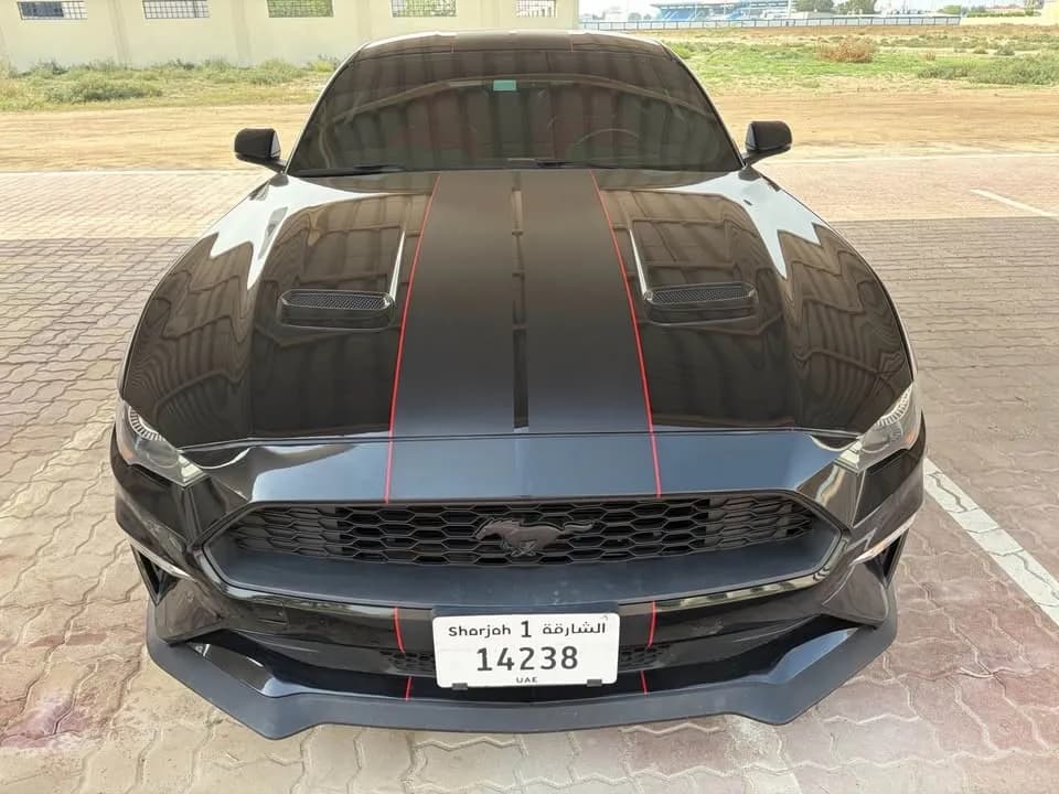 Used Ford Mustang 2019