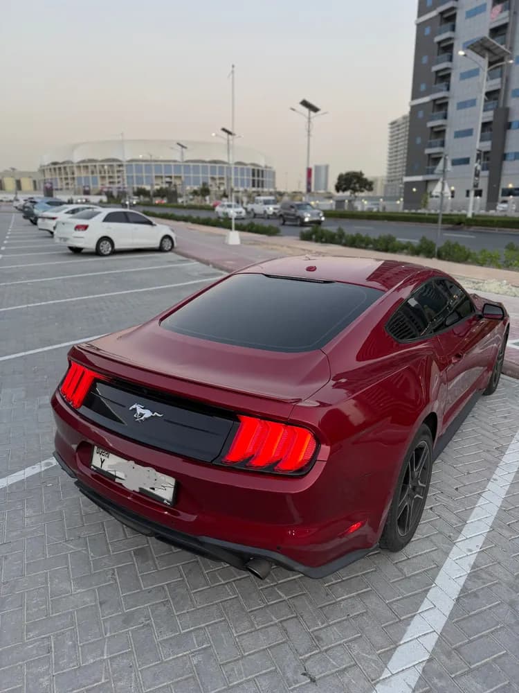 Used Ford Mustang 2.3L EcoBoost Coupe 2020