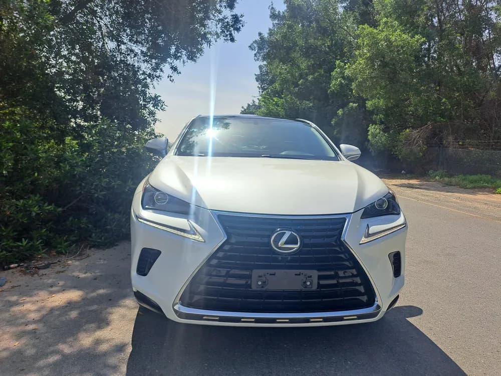 Used Lexus NX 300 Platinum 2021