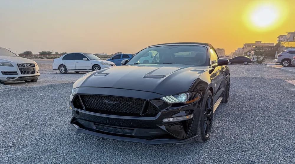Used Ford Mustang 5.0L GT Convertible 2019