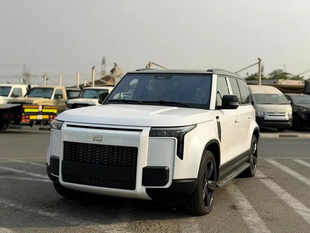 New ROX 01 1.5T VIP (PHEV) 2025