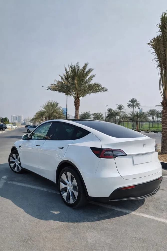 Used Tesla Model Y Long Range (AWD) 2023