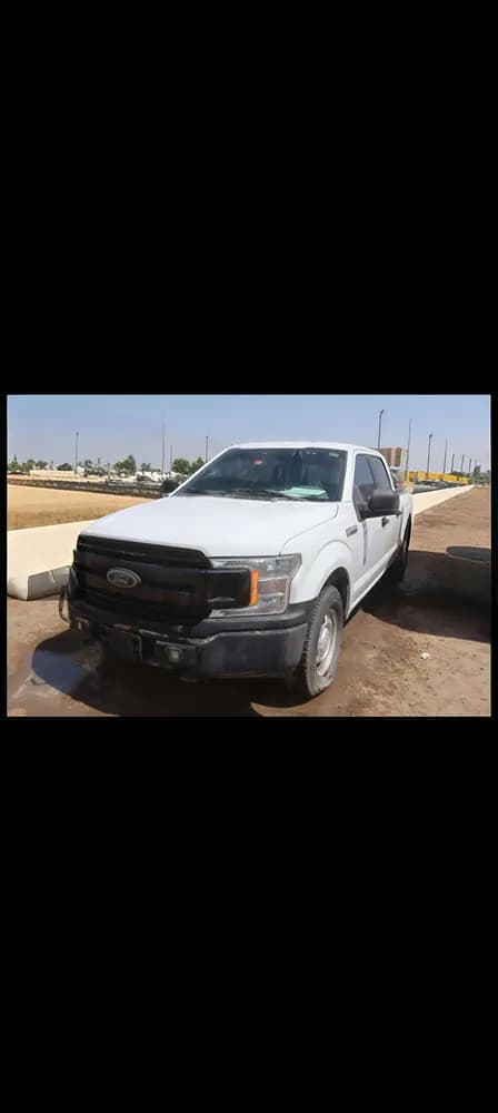 Used Ford F-150 5.0L Regular Cab XLT 2019