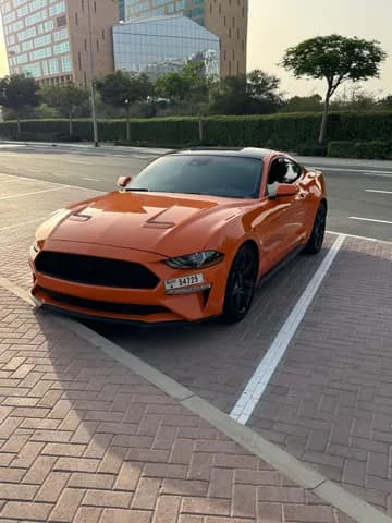 Used Ford Mustang 2.3L EcoBoost Fastback A/T 2020 Used Ford Mustang 2.3L EcoBoost Fastback A/T 2020 used_cars.forSale