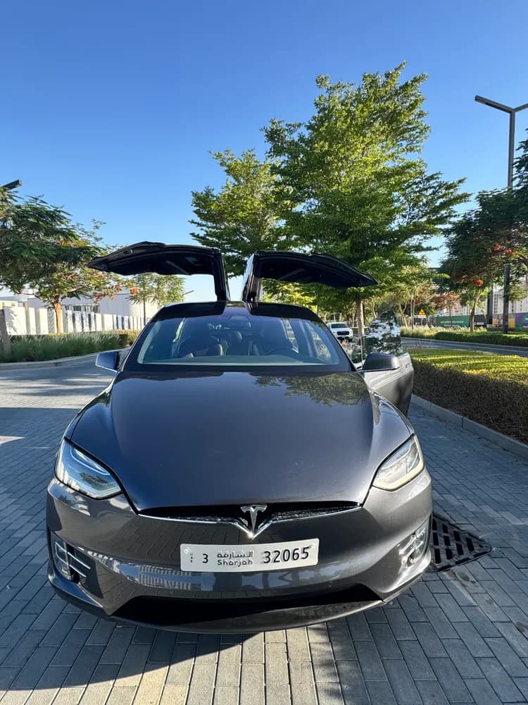 Used Tesla Model X 100D 2019