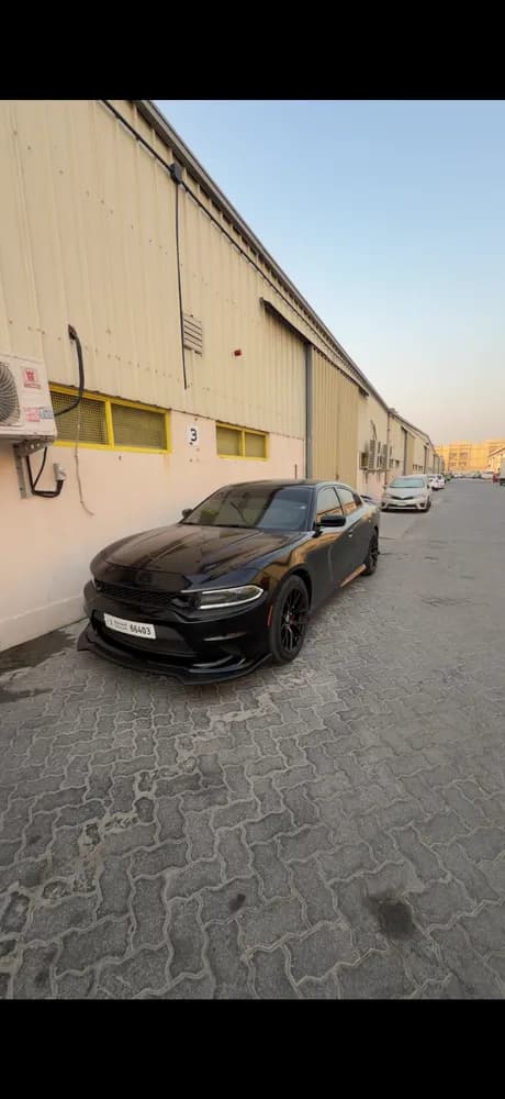 Used Dodge Charger 3.6L SXT (Base) 2015