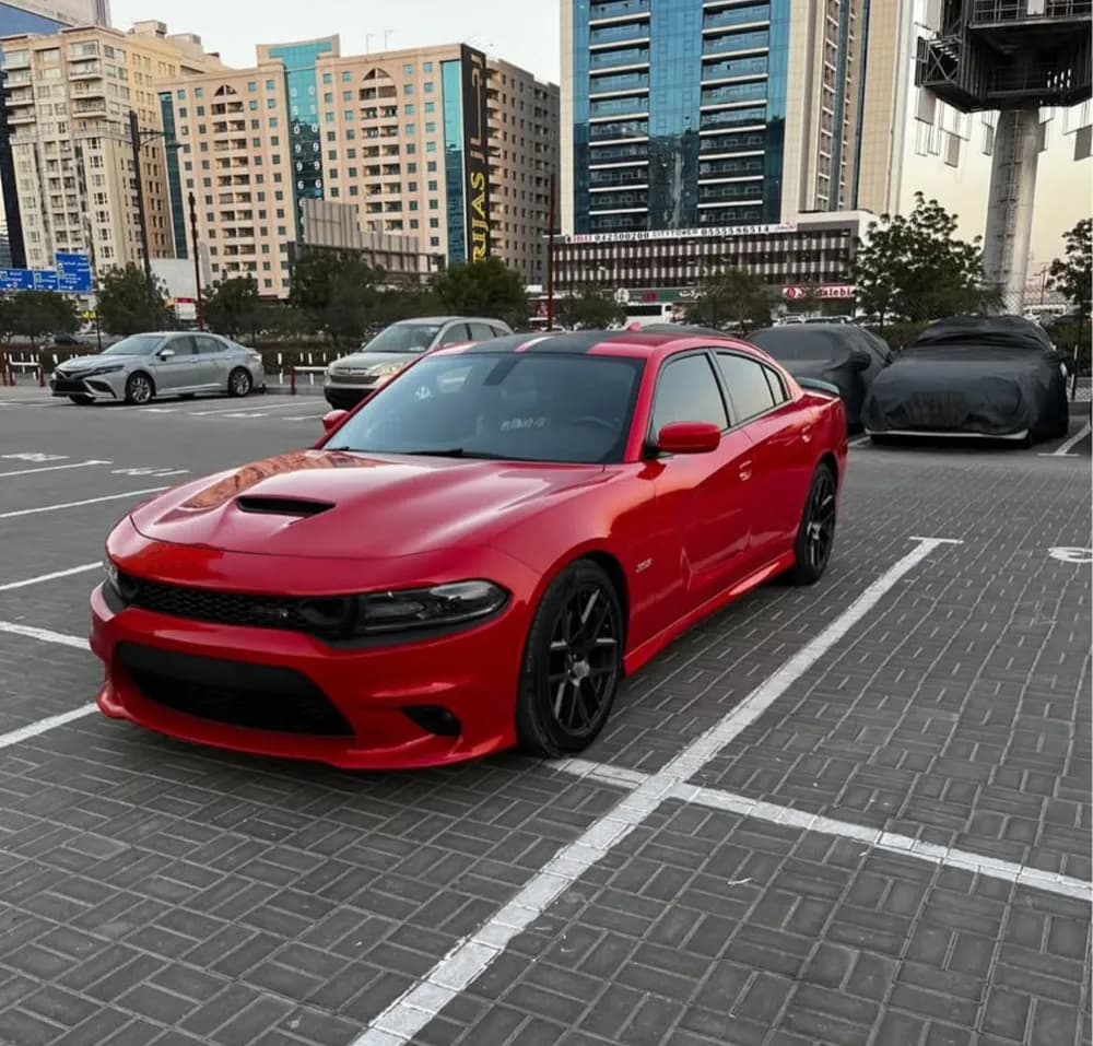 Used Dodge Charger 6.4L R/T Scatpack 2019
