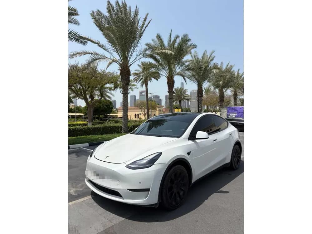 Used Tesla Model Y 2022